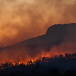 Incendios forestales, una catástrofe que se repite año tras año